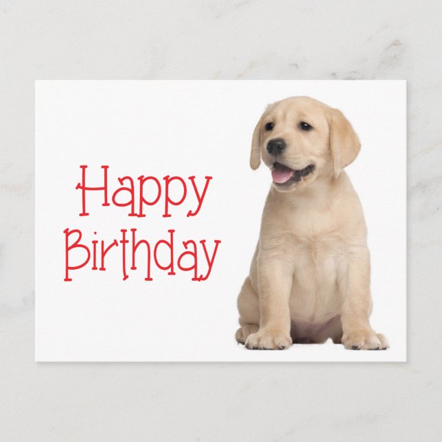 Happy Birthday Yellow Labrador Retriever Postcard (Front)
