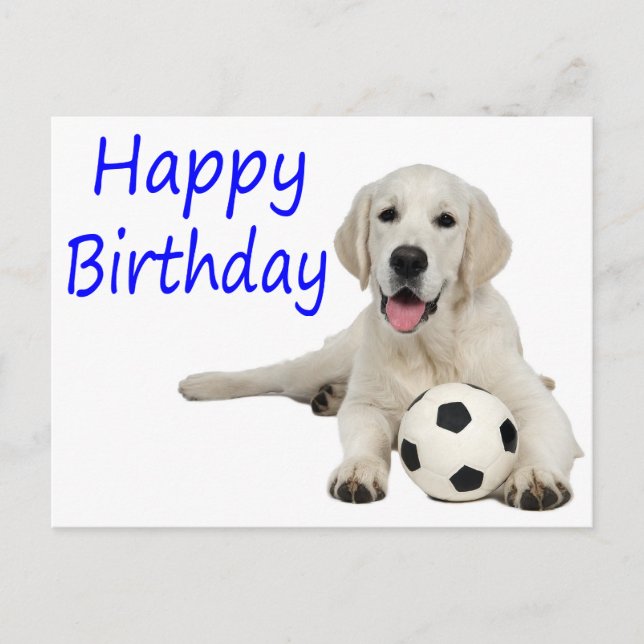 Happy Birthday Yellow Labrador Retriever Postcard (Front)