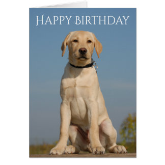 Birthday With Labrador Puppy Cards | Zazzle