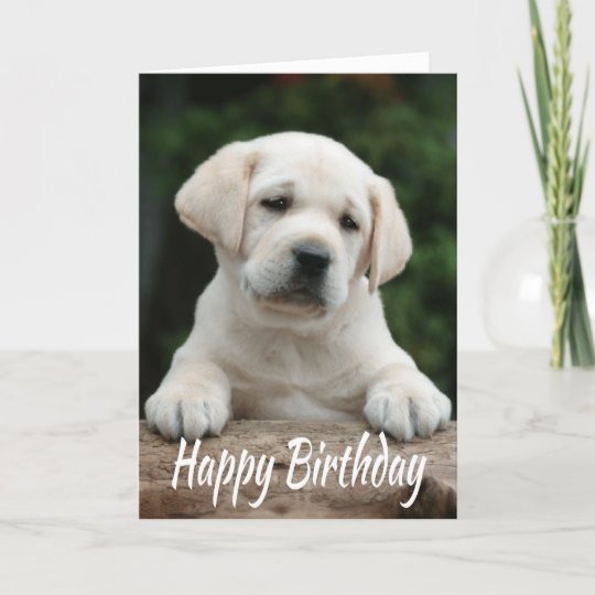 Happy Birthday Yellow Labrador Retriever Puppy Dog Card | Zazzle.com