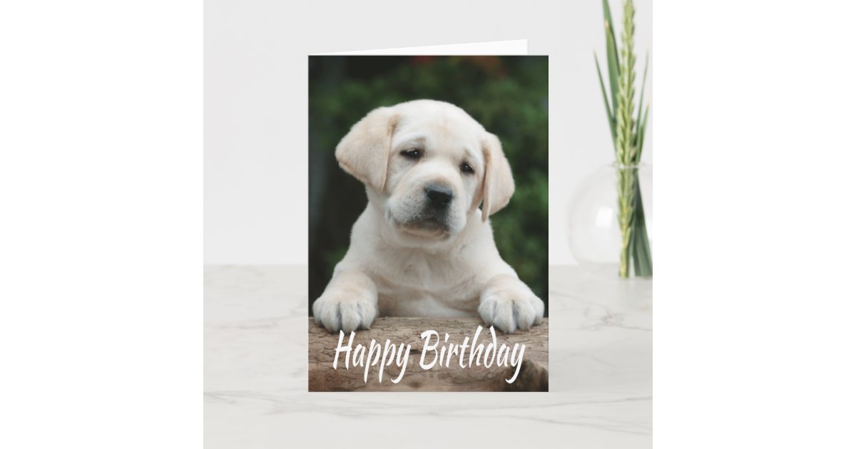 Happy Birthday Yellow Labrador Retriever Puppy Dog Card Zazzle Com