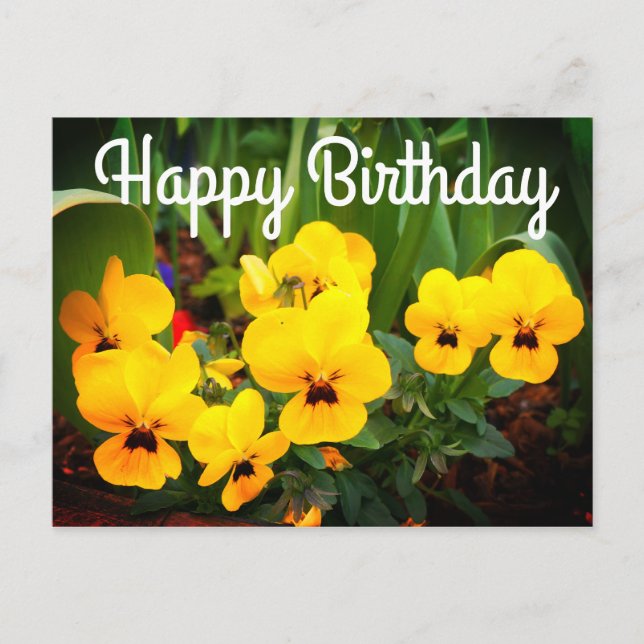 Happy Birthday Yellow Pansy #1 Postcard (Front)