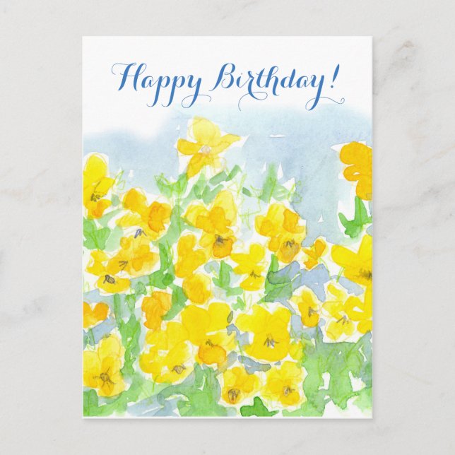 Happy Birthday Yellow Pansy Flowers Violas Postcard (Front)