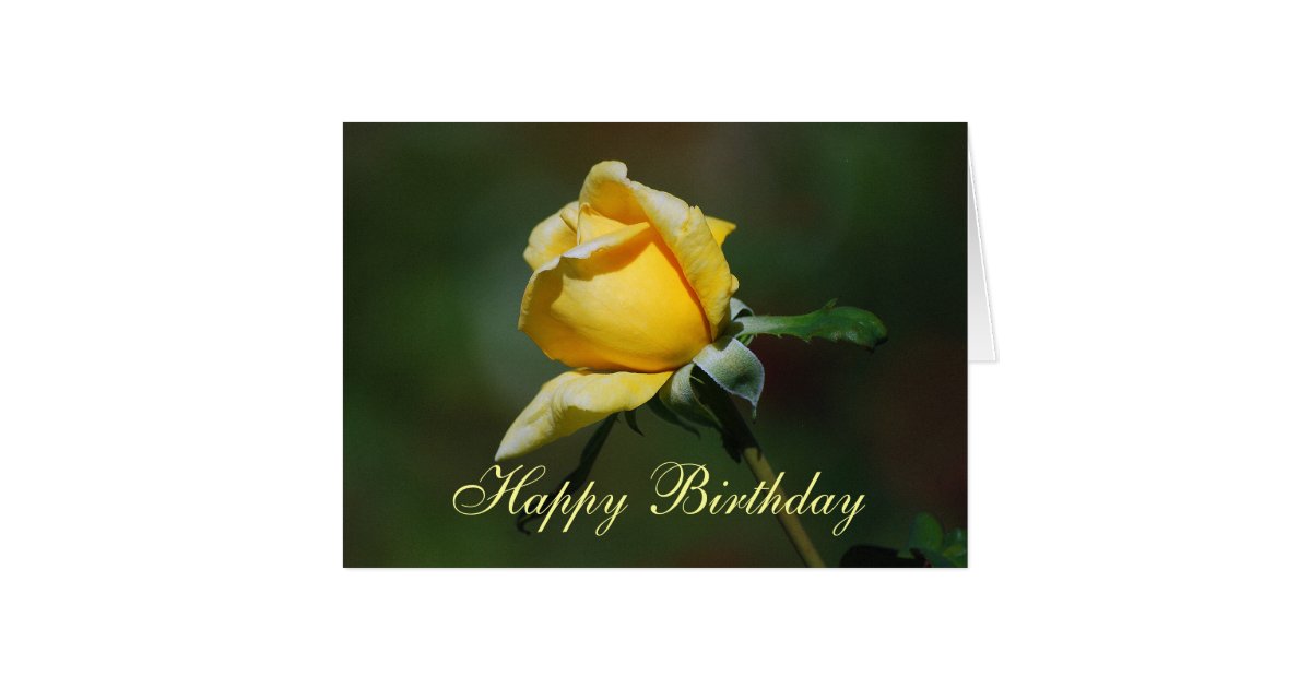 Happy Birthday Yellow Rose Bud Card | Zazzle