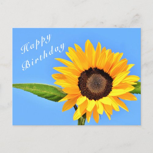 Happy Birthday _ Yellow Sunflower on Blue Sky Postcard