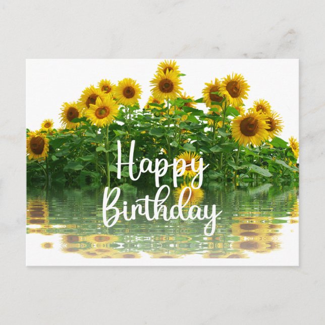 Happy Birthday Yellow Sunflowers  Postcard (Front)