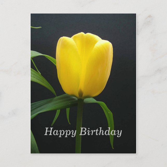 happy birthday yellow tulip flower postcard (Front)