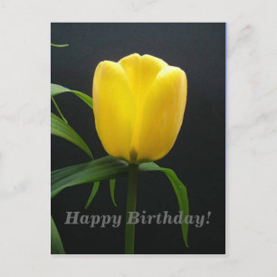 happy birthday yellow tulip flower postcard