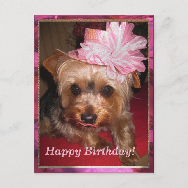 Happy Birthday Yorkie Postcard (Front)