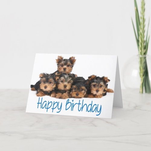 Happy Birthday Yorkshire Terrier Puppy Dog Blue Card
