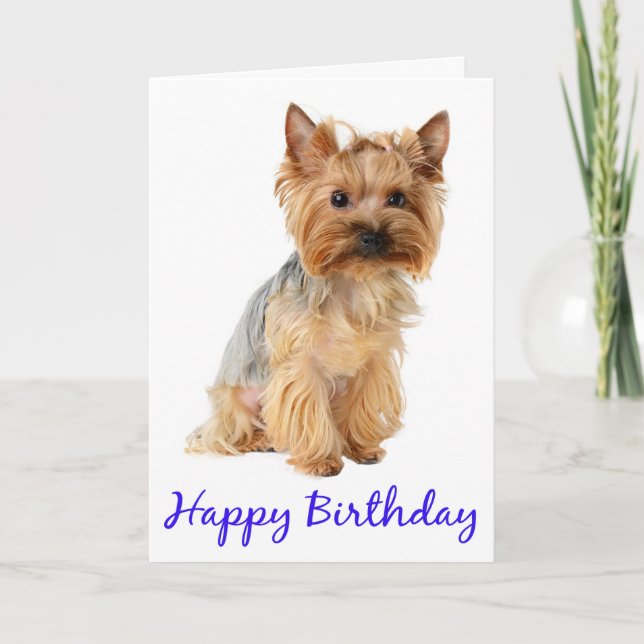 Happy Birthday Yorkshire Terrier Puppy Dog Card (Front)
