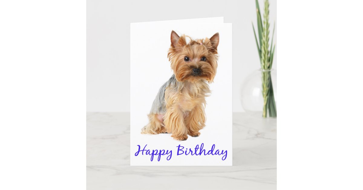 Happy Birthday Yorkshire Terrier Puppy Dog Card Zazzle Com