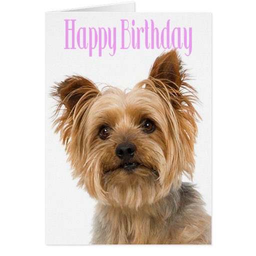 Happy Birthday Yorkshire Terrier Puppy Dog Pink Card | Zazzle