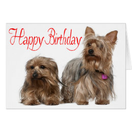 Yorkie Birthday Cards - Greeting & Photo Cards | Zazzle