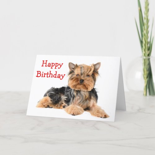 Happy Birthday Yorkshire Terrier Puppy Dog Red Card