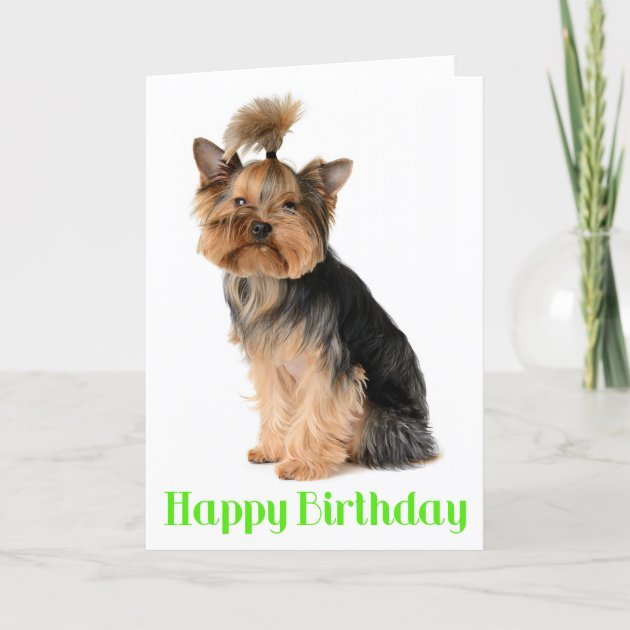 Yorkshire Terrier Cute Yorkie Dog Birthday Greetings Note Card