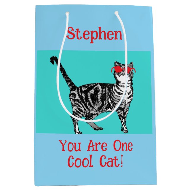 Happy Birthday You Cool Tabby Cat Mens Husband Medium Gift Bag (Front)