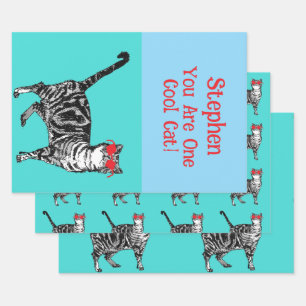 Happy Birthday You Cool Tabby Cat Mens Husband Wrapping Paper Sheets