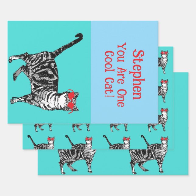Happy Birthday You Cool Tabby Cat Mens Husband Wrapping Paper Sheets (Set)