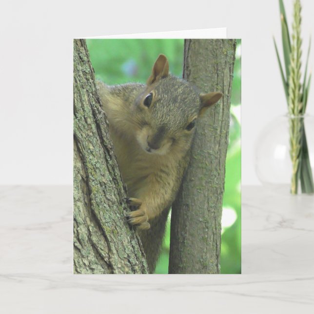 Happy Birthday You Nut Funny Squirrel Card (Front)