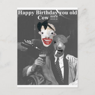 Happy Birthday you old Cow! Postcard