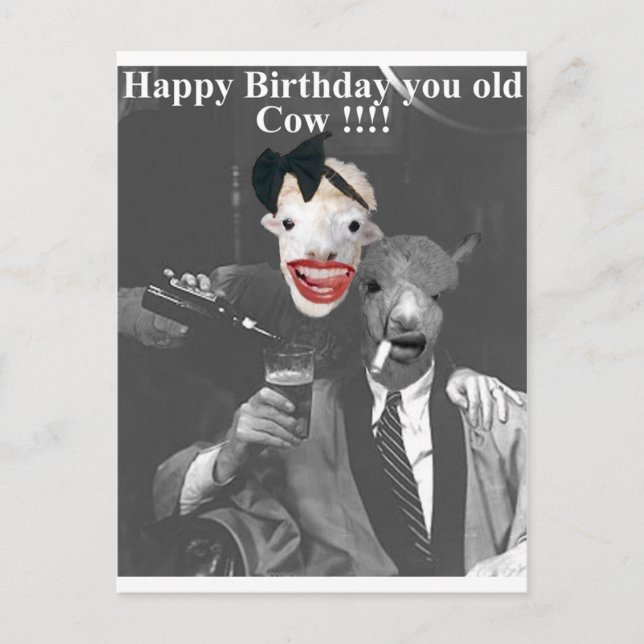 Happy Birthday you old Cow! Postcard (Front)