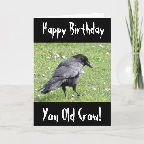 Happy Birthday You Old Crow Insult Birthday Card