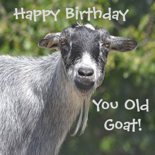 happy birthday you old