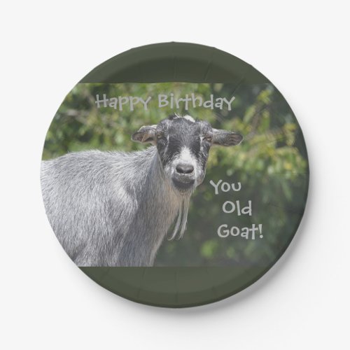 Happy Birthday You Old Goat Plate
