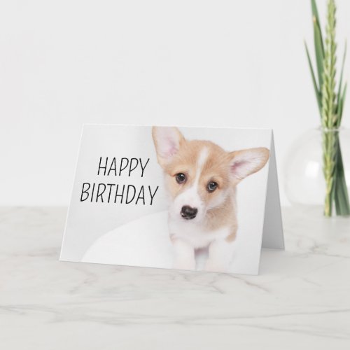 Happy Birthday  Young Corgi Puppy Card