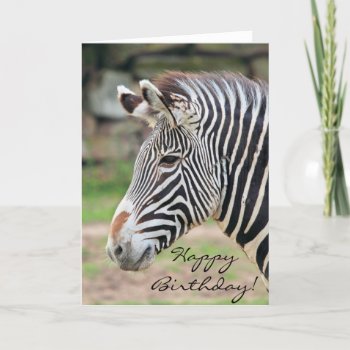 Happy Birthday Zebra Animal Card by pdphoto at Zazzle