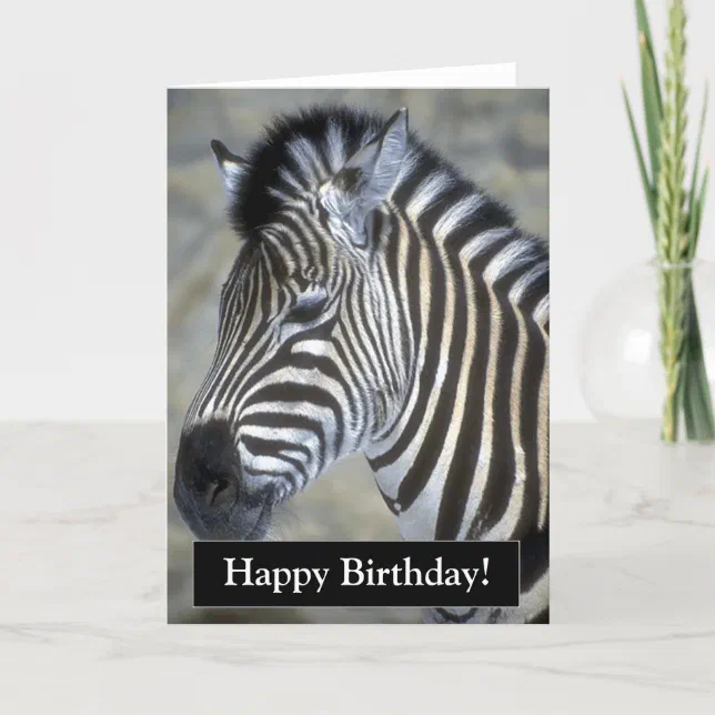 Happy Birthday Zebra Card | Zazzle