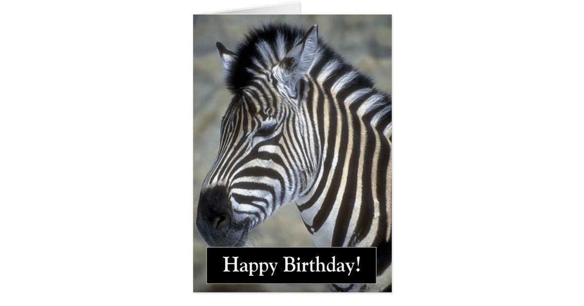Zebra Print Birthday Cards