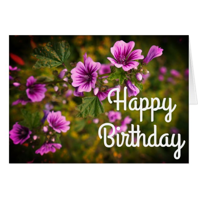 Happy Birthday Zebra Hollyhock Flowers #2 Card (Front Horizontal)