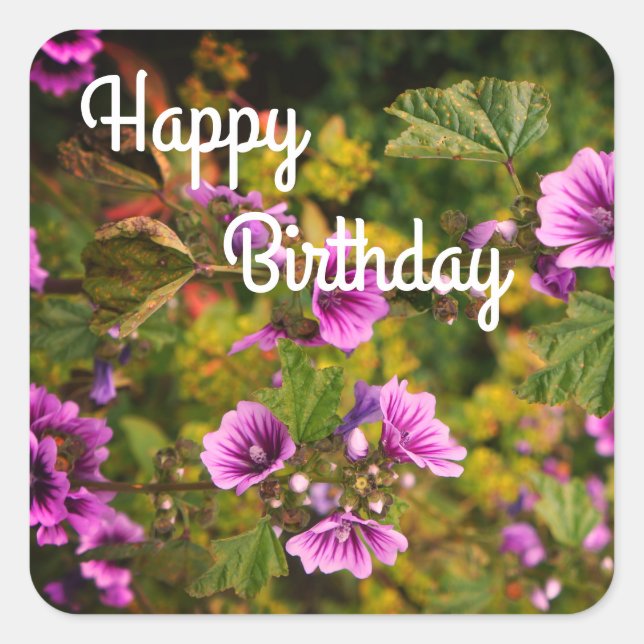 Happy BIrthday Zebra Hollyhock Flowers Stickers (Front)