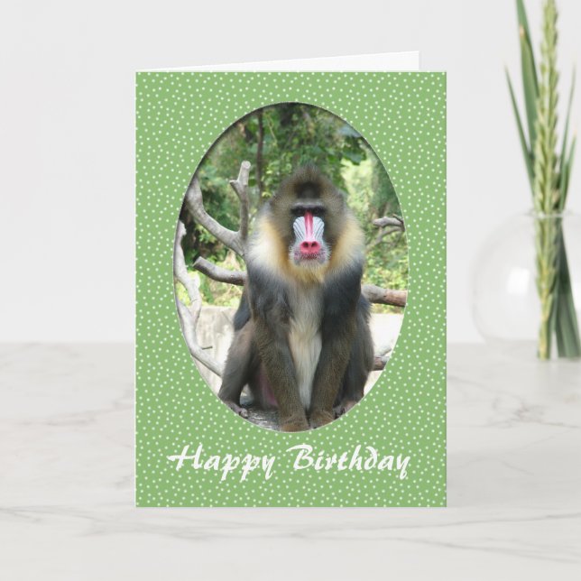 happy birthday zoo animal card (Front)