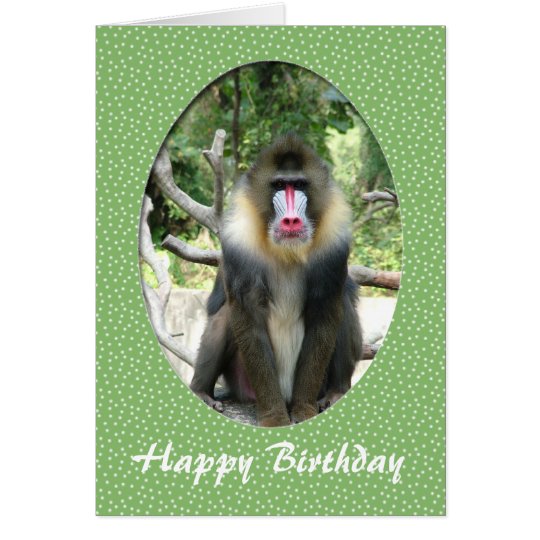 happy birthday zoo animal card