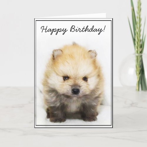 Happy Bithday Pomeranian puppy greeting card