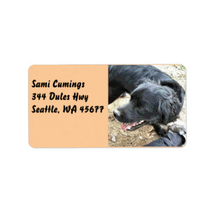 Happy Black Cocker Spaniel Label