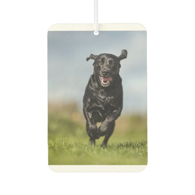 Happy Black Labrador Retriever Running Air Freshen Air Freshener (Front)
