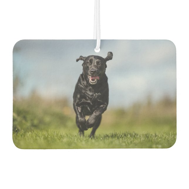 Happy Black Labrador Retriever Running Air Freshen Freshener (Front)