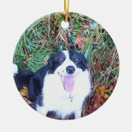 Happy Border Collie Ceramic Ornament