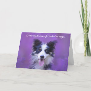 Happy Border Collie Dog, Angel with Fur Card