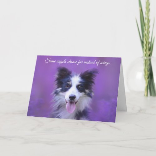 Happy Border Collie Dog Angel with Fur Card