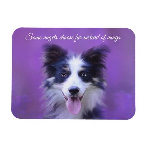 Happy Border Collie Dog Angel with Fur Magnet