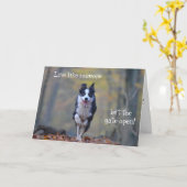 Happy Border Collie dog birthday card (Yellow Flower)