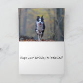 Happy Border Collie dog birthday card (Inside)