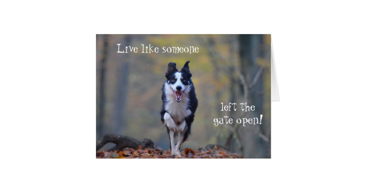 29 [pdf] GREETING CARD 50 BIRTHDAY PRINTABLE HD DOCX DOWNLOAD ZIP