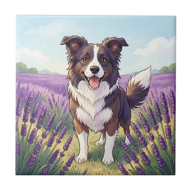 Happy Border Collie Lavender Field Ceramic Tile (Front)