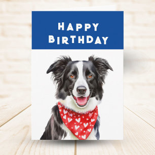 Happy Border Collie Red Heart Bandana Birthday Card